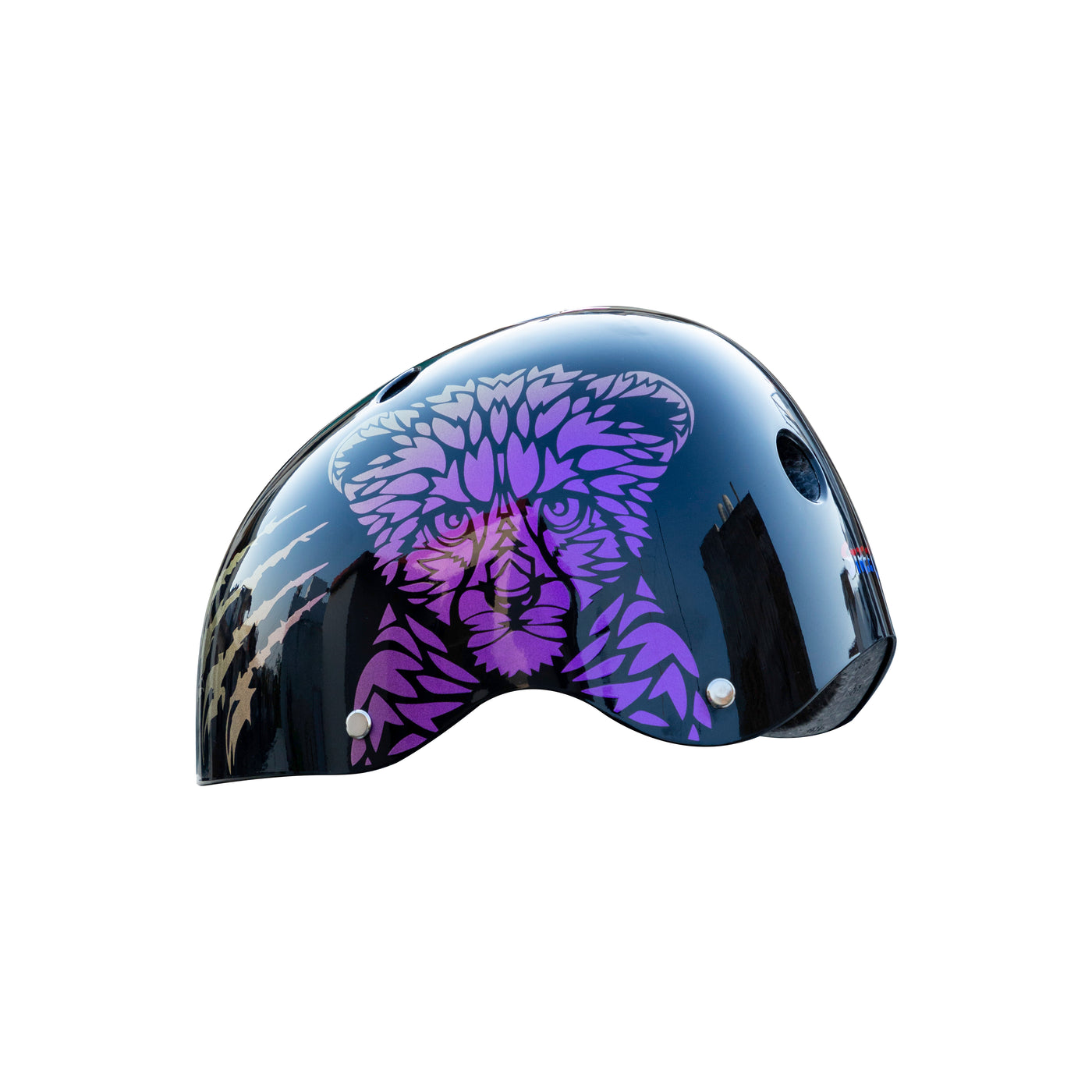 Wild Riderz Helmet